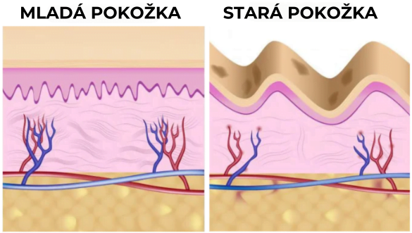 Celodenní anti-age sada – pro nepřetržitou omlazující péči