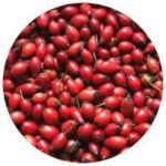 Collagen Pineapple (kolagen)