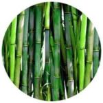 Collagen Pineapple (kolagen)