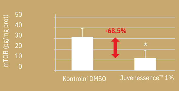 Sunrise rejuvenation -10% (denní krém)
