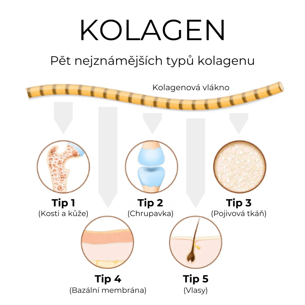 CZ biostile collagen 04 2024 image v1 1200x1200 SI png Collagen Complet (kolagen)