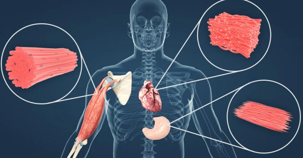 Forever Young Complet