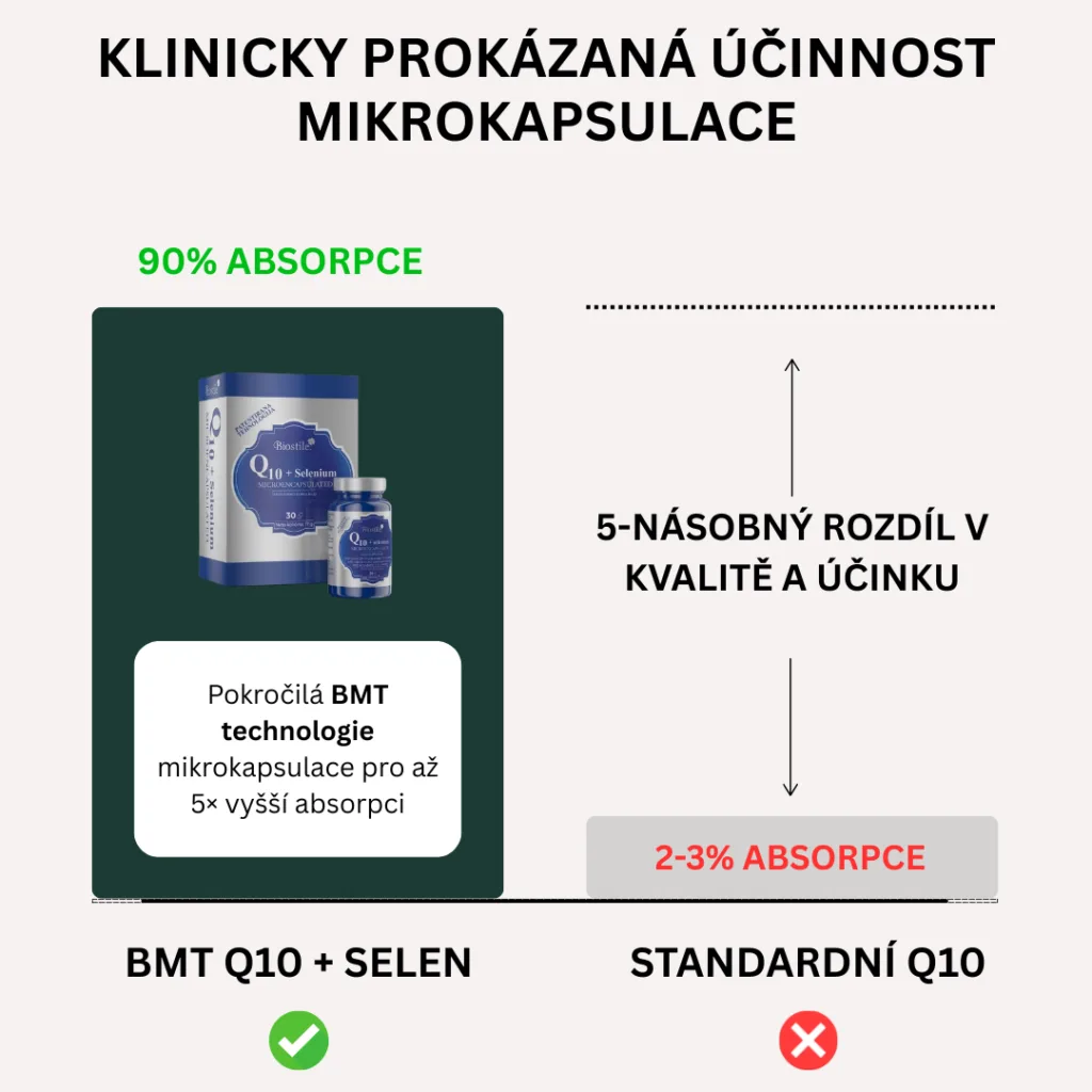 brand bmt q10 izcrpanost lp1