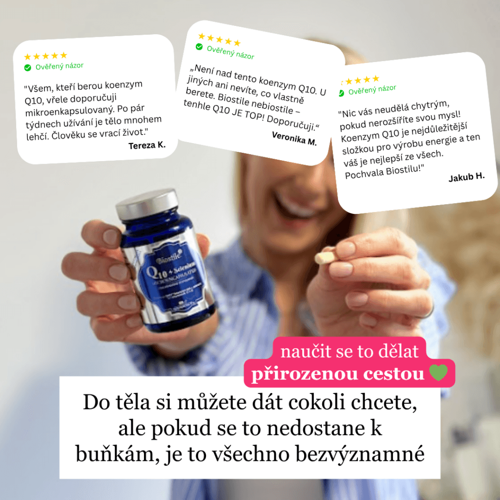 brand bmt q10 izcrpanost lp1