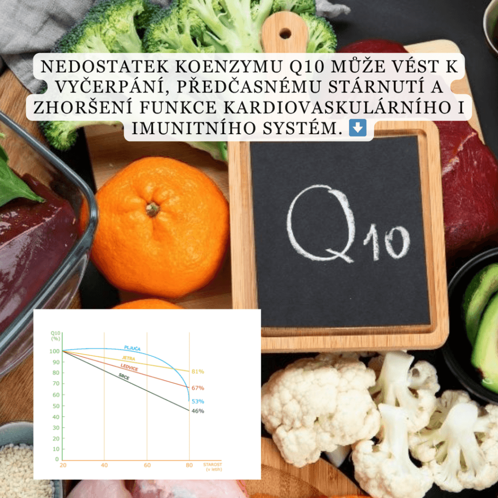 brand bmt q10 izcrpanost lp1