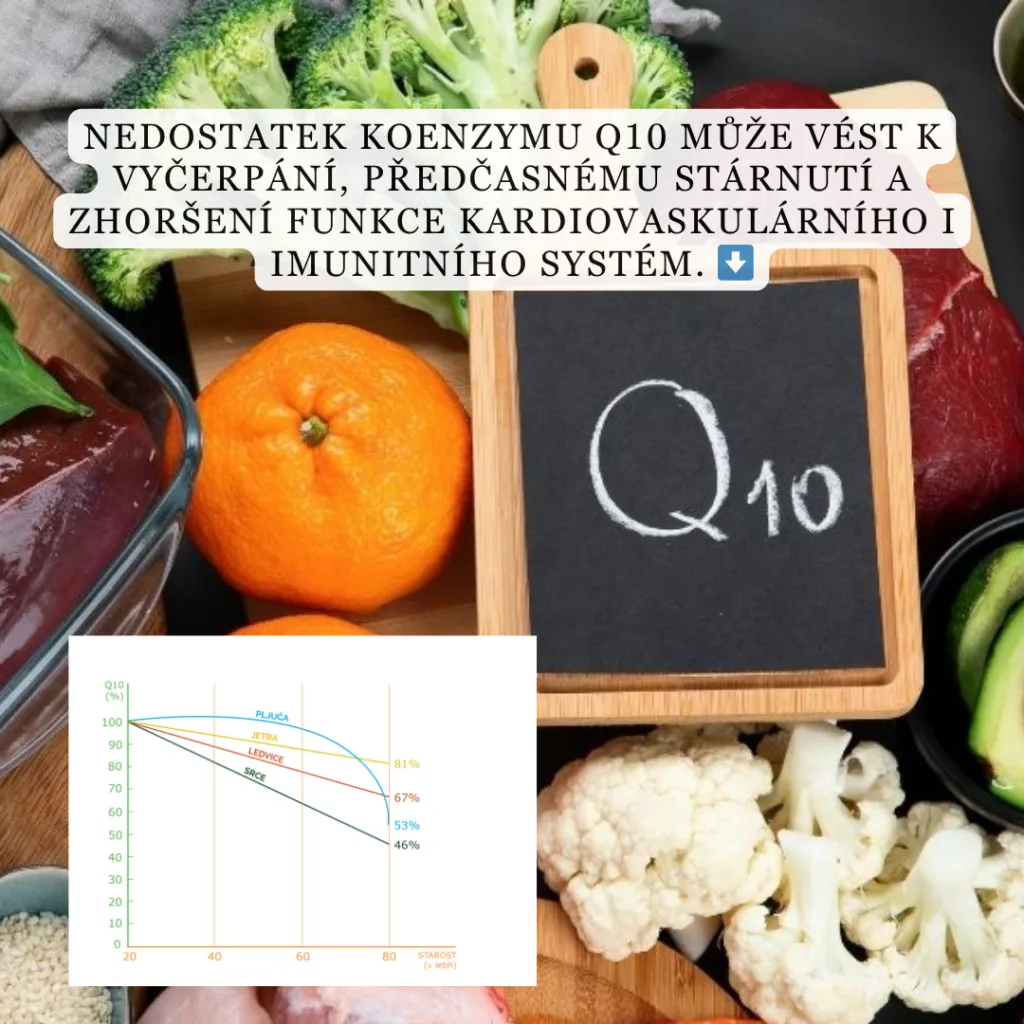 brand bmt q10 izcrpanost lp1