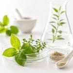 elp celuline 21 gratis